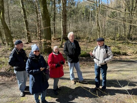 Gruppe im Wald