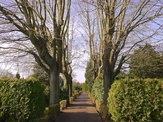 k%V7qG4wRuiVr1+CZkQfIQ