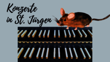 Konzerte in St. Jürgen