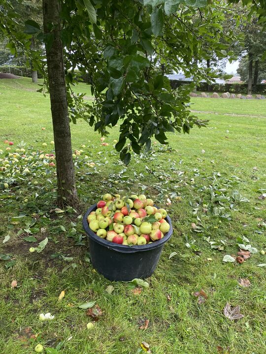 Gefüllte Erntekörbe