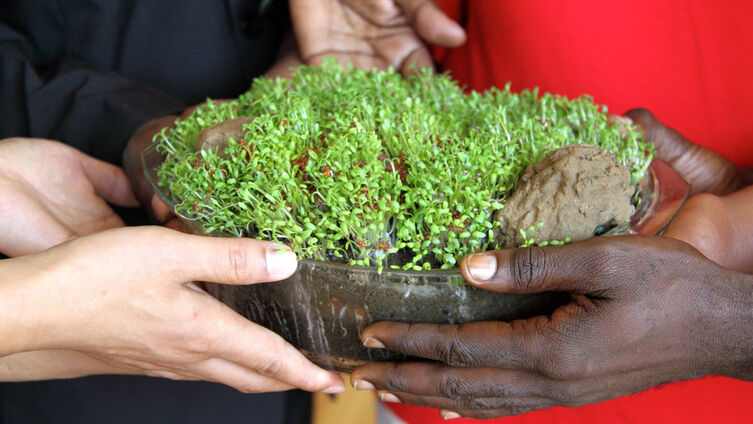 Foto: Rose Grützmann, ZMÖ